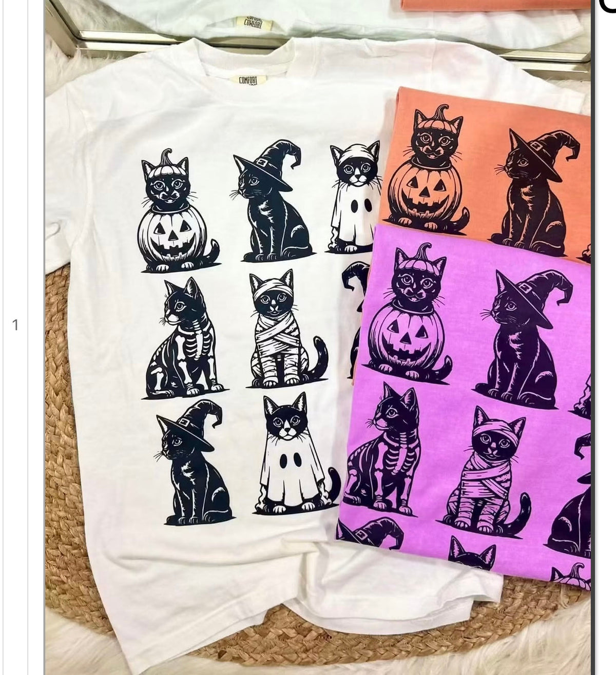 Halloween Dressed Cats HW67 DTF Graphic