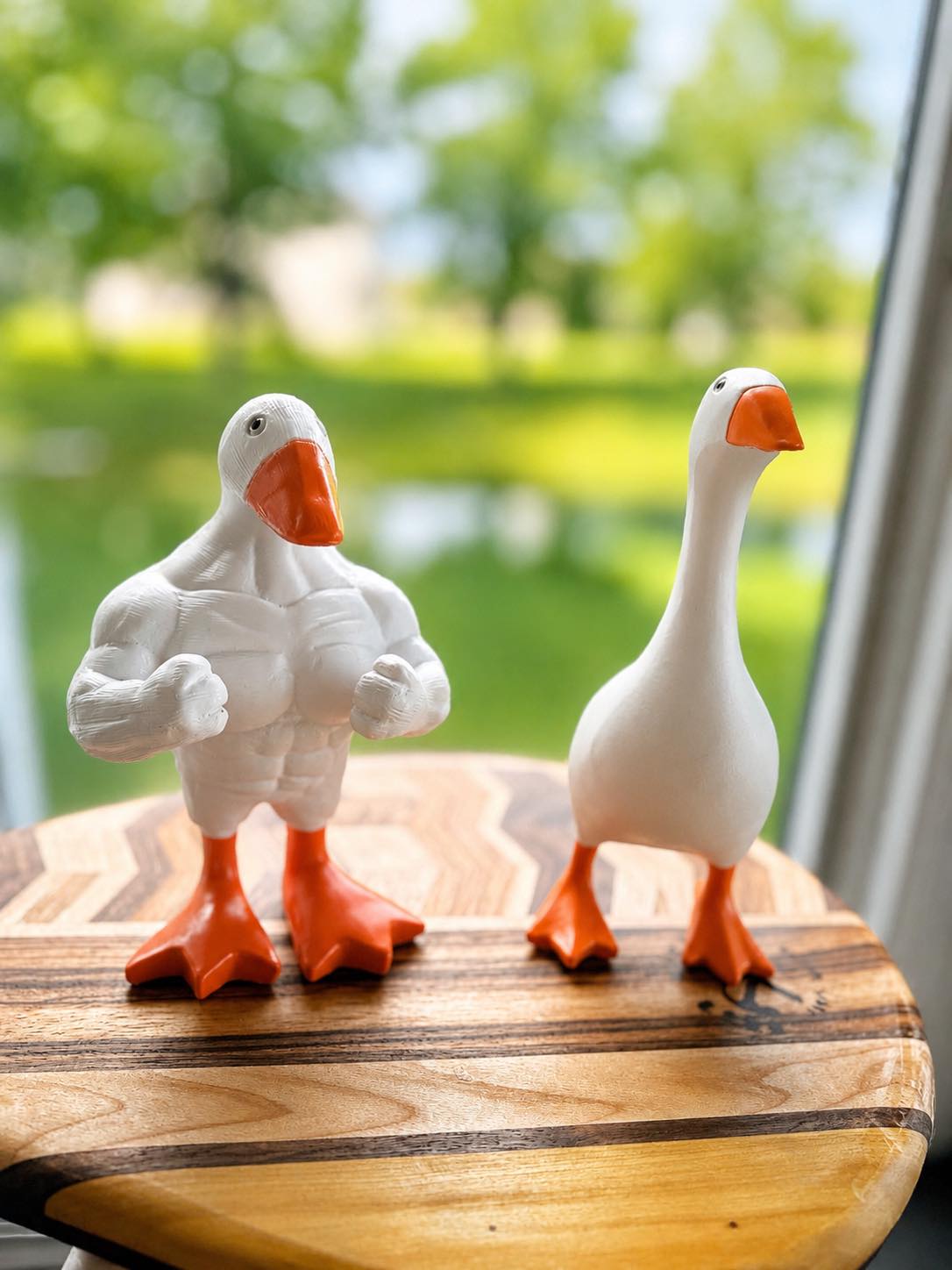 PREORDER: Goose on the Loose  RERUN 6.8.26